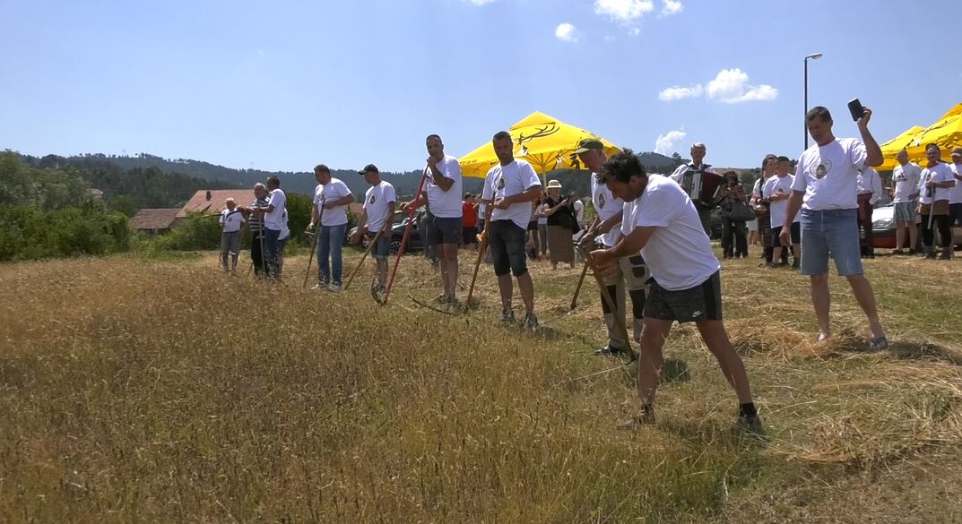 Косијаде Косијаде