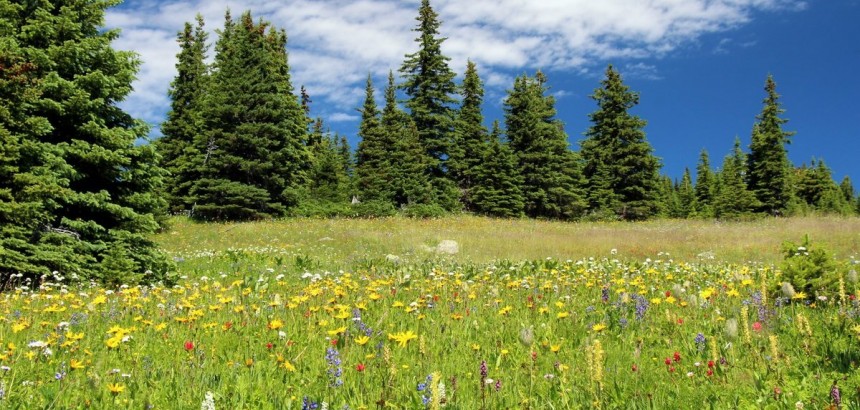 ваучер за летовање