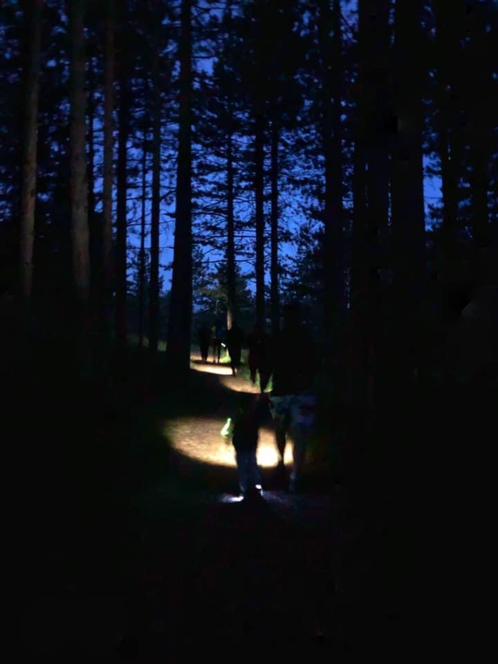 Чудесне шетње златиборске