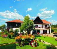 сеоско домаћинство