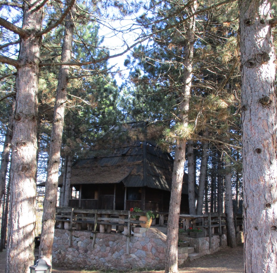 Сирогојно Сирогојно