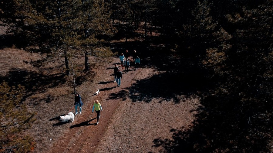 „пет фриендлy“ дестинација 