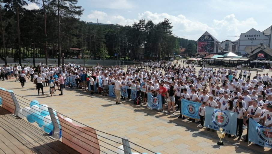 Полицијада 