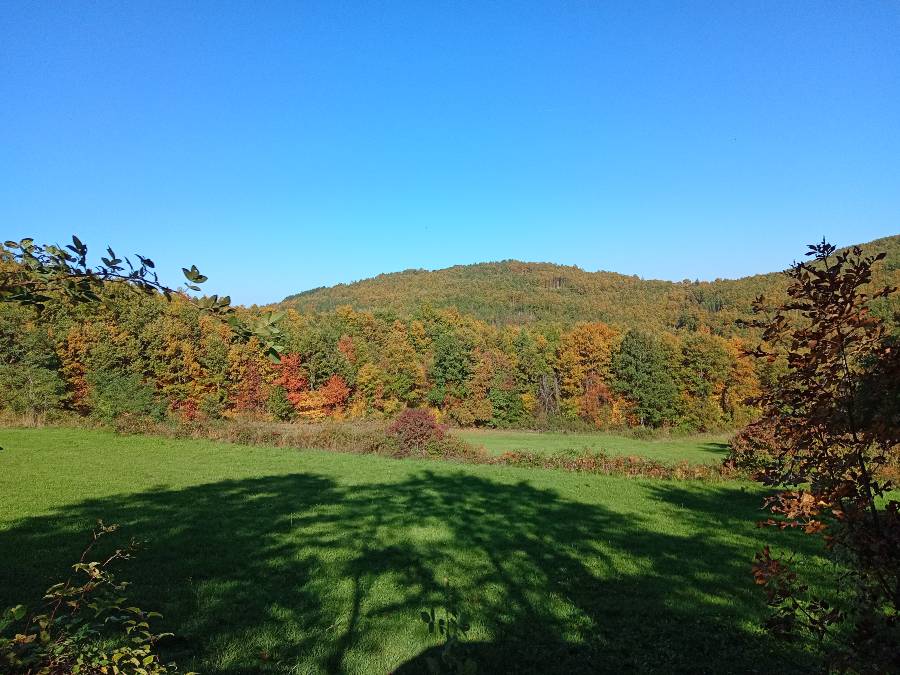 Природа , сунчан дан 