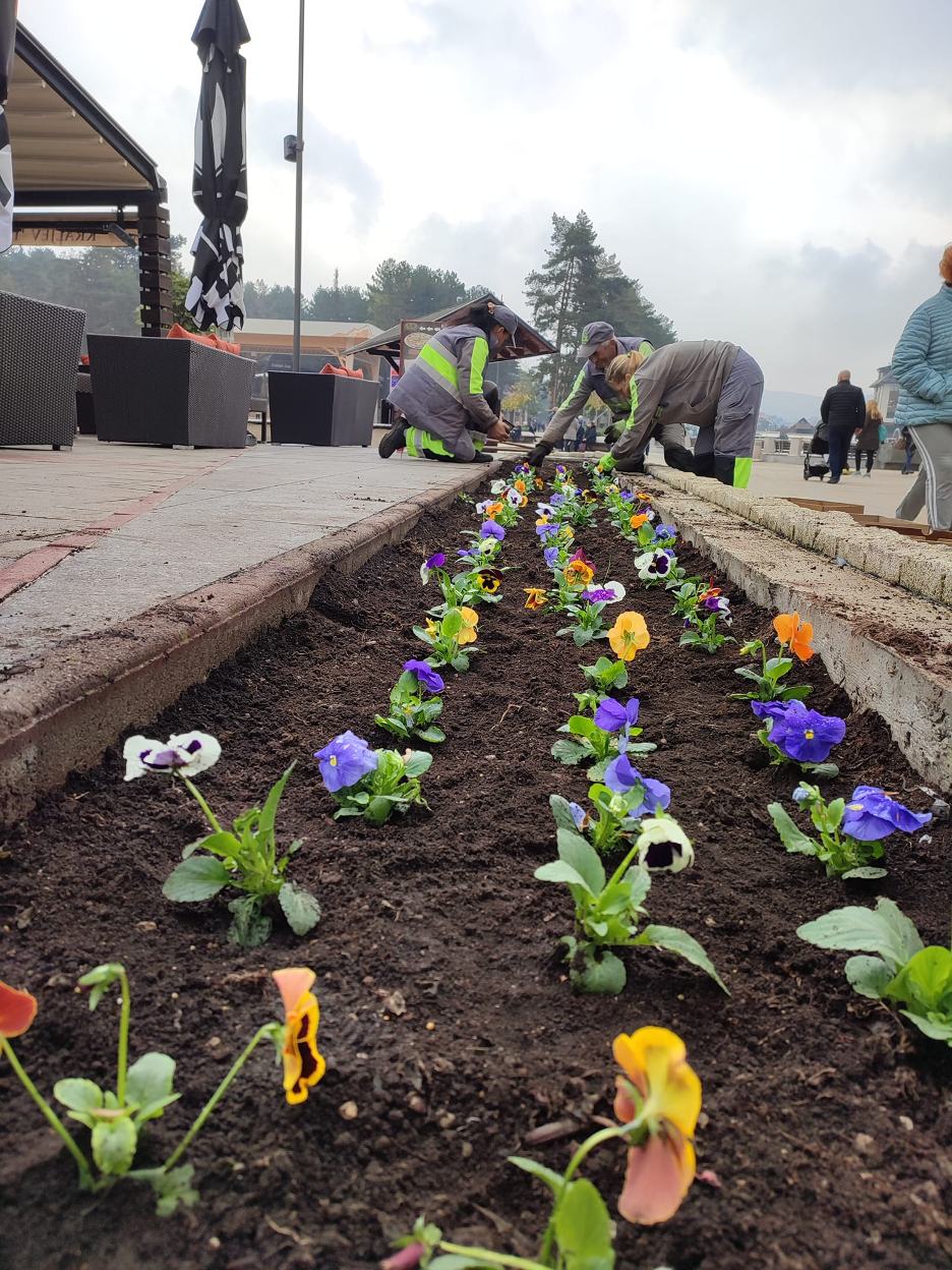 кјп златибор