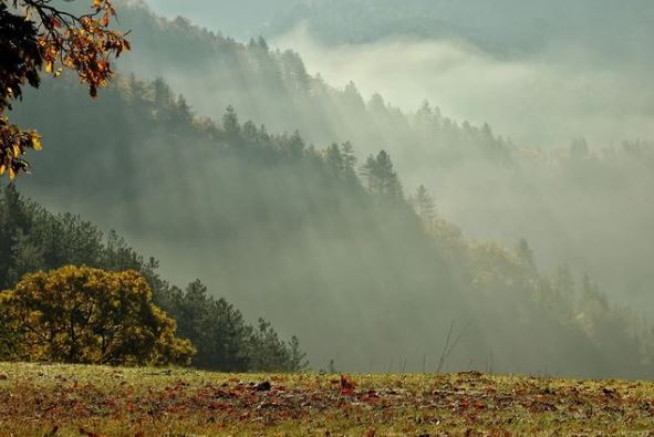 моја србија