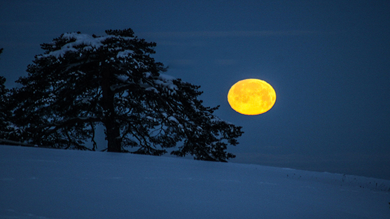 фото Ж.Пантовић