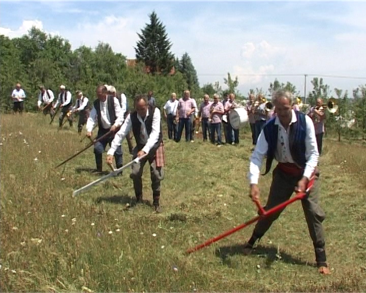 косидба у К.Реци косидба