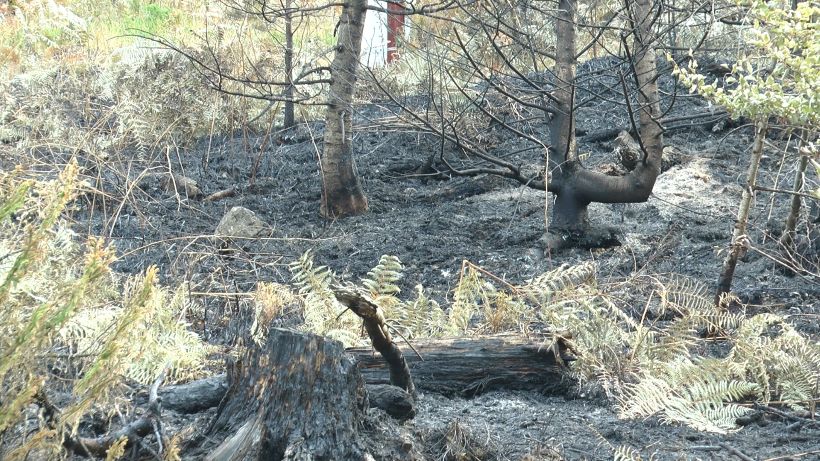 МУП апелује на грађане да не пале траву и ниско растиње
