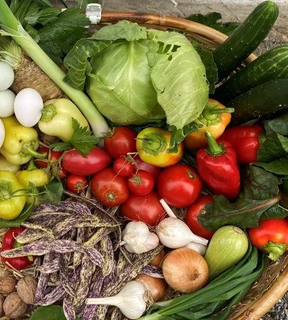 Подношење захтева за подстицаје у органској производњи до 6. септембра