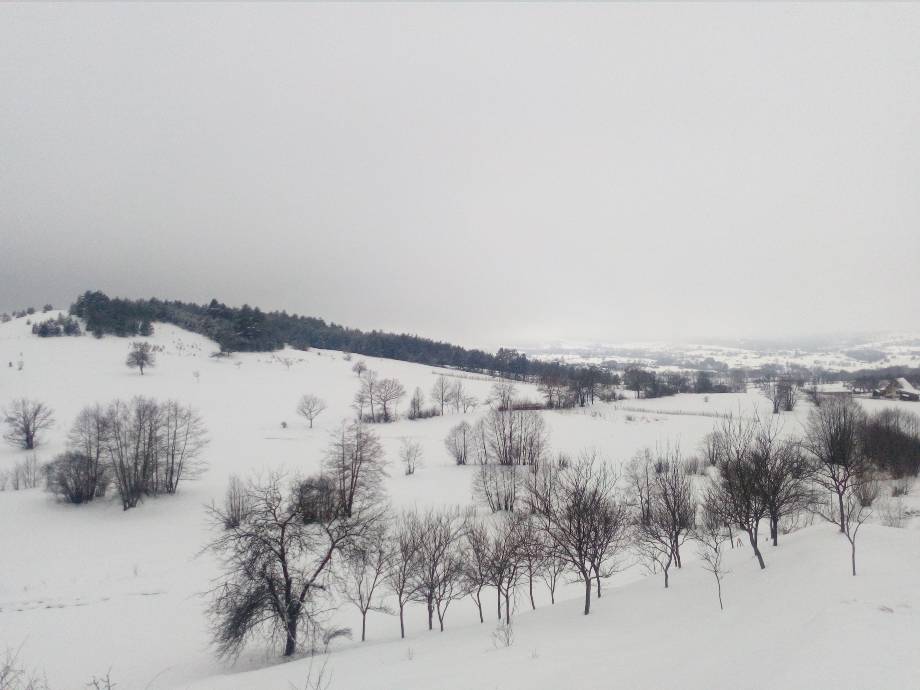 Зима - илустрација вести 