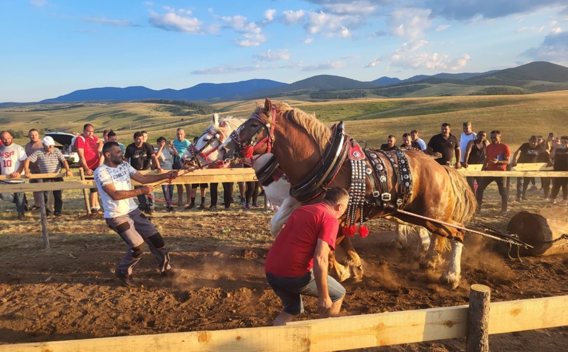 Штрапаријада на Златибору