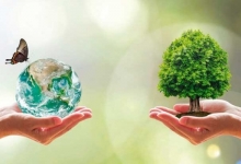 еко аграр и фао