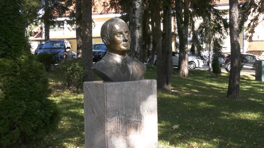 Биста пилоту мајору Савићу у Чајетини