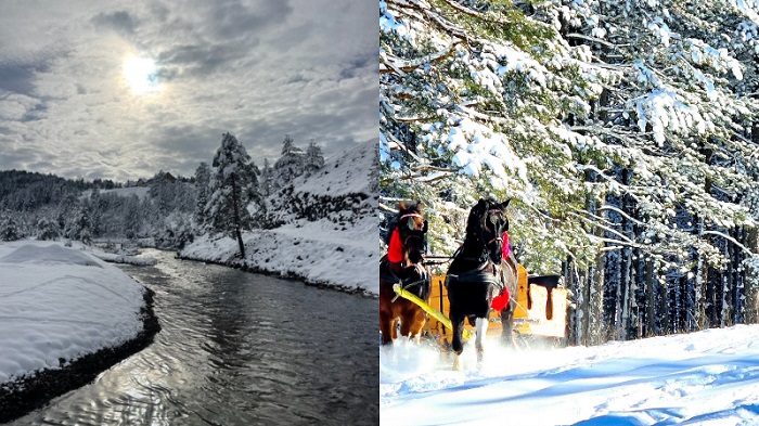 Зимски мотив Златибор Zimski motiv Zlatibor