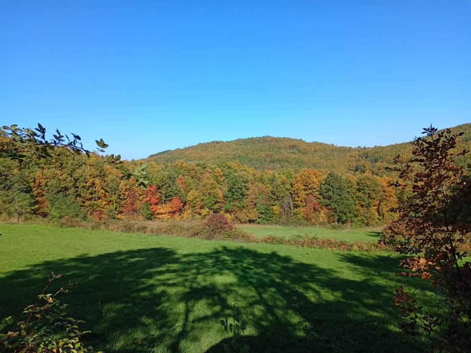 Jесен почиње у понедељак, 22. септембра