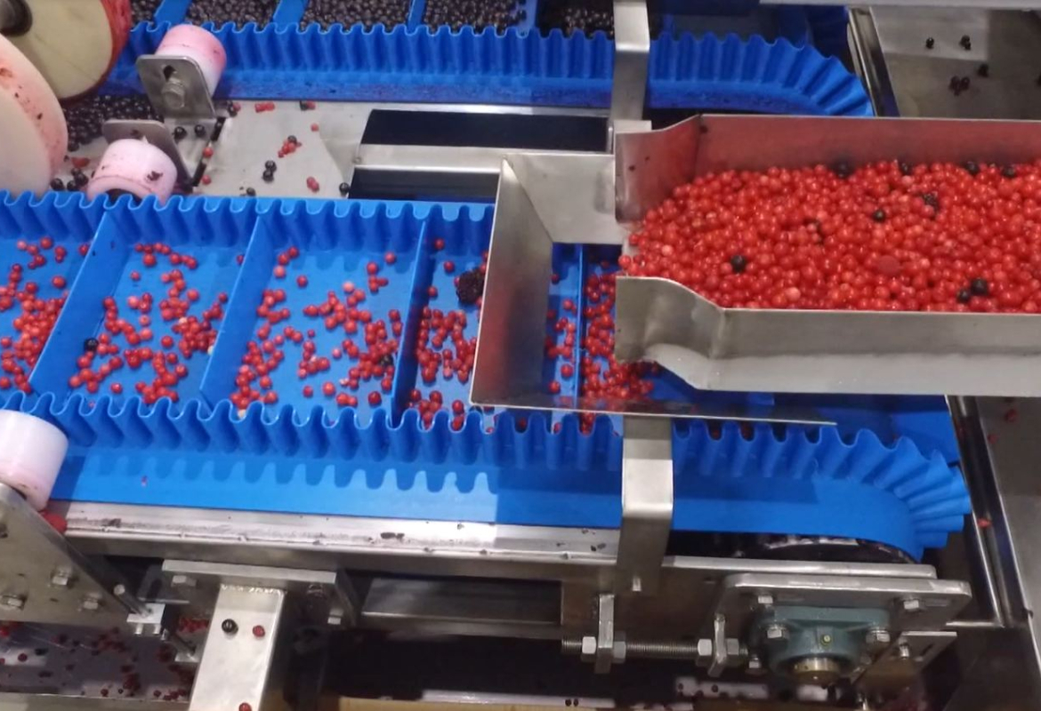 проблеми привредника