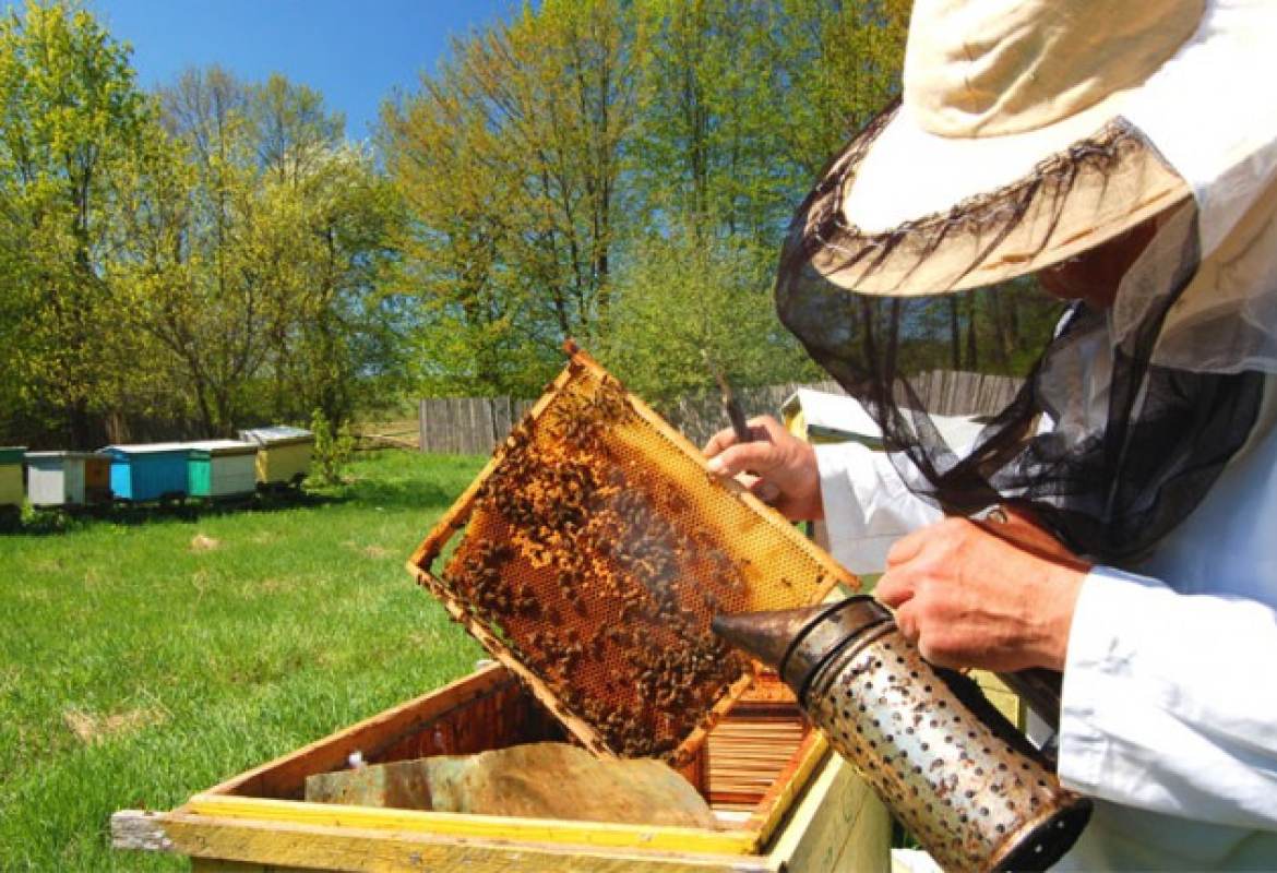 До 22. маја отворен конкурс за пчеларе