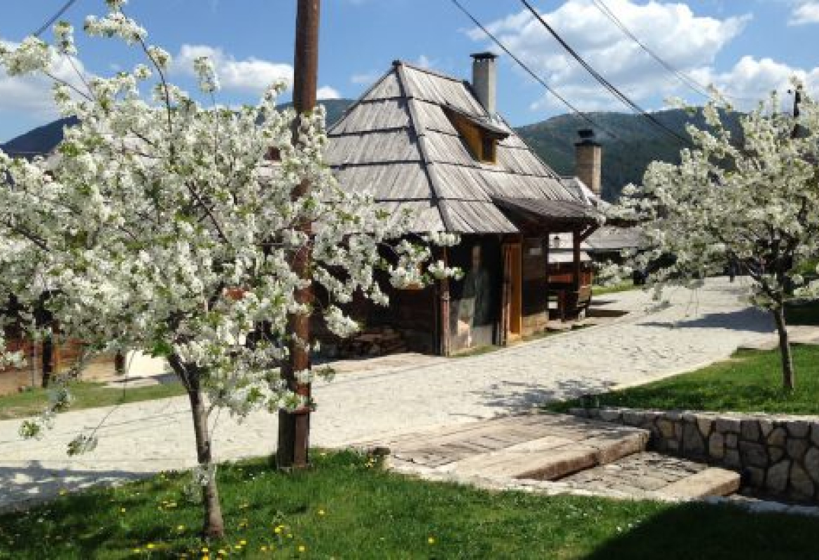 Дрвенгард - 15. Кустендорф од 6. до 10. маја