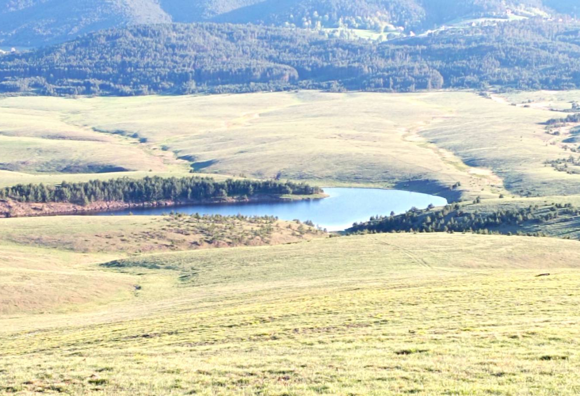 Почиње пролеће