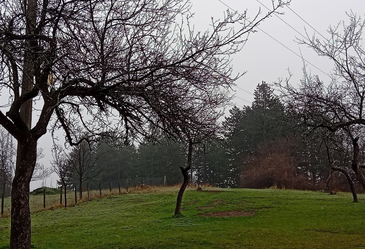 Кишан дан - илустрација вести