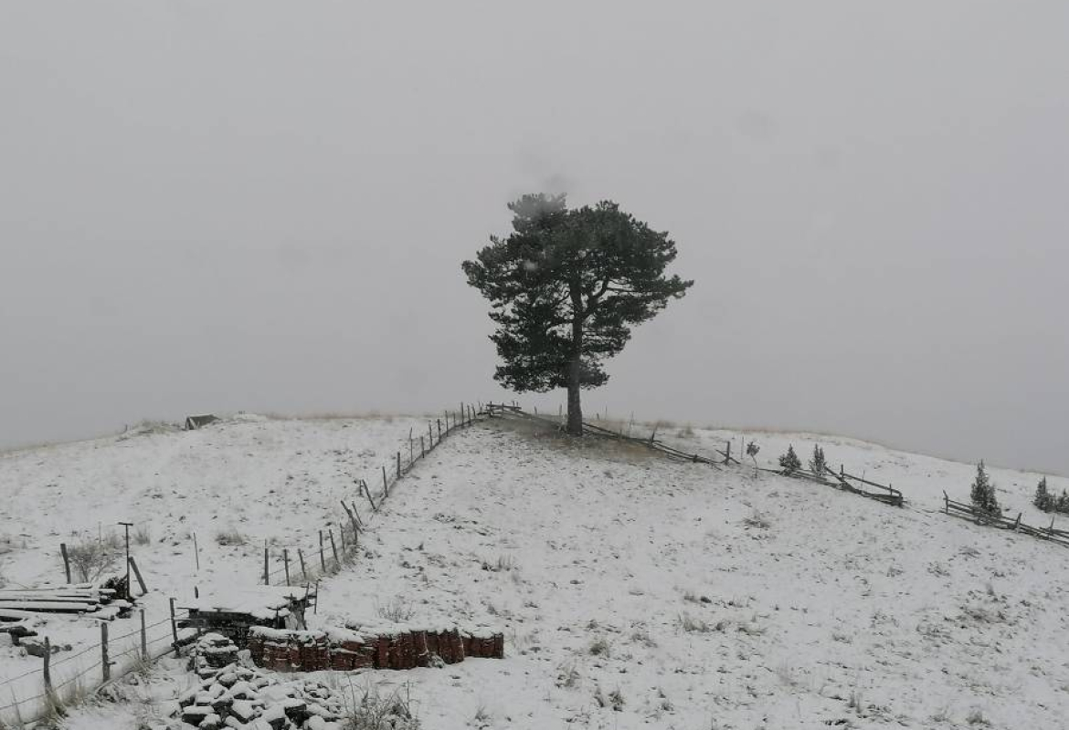 Зима почиње у петак 22. децембра