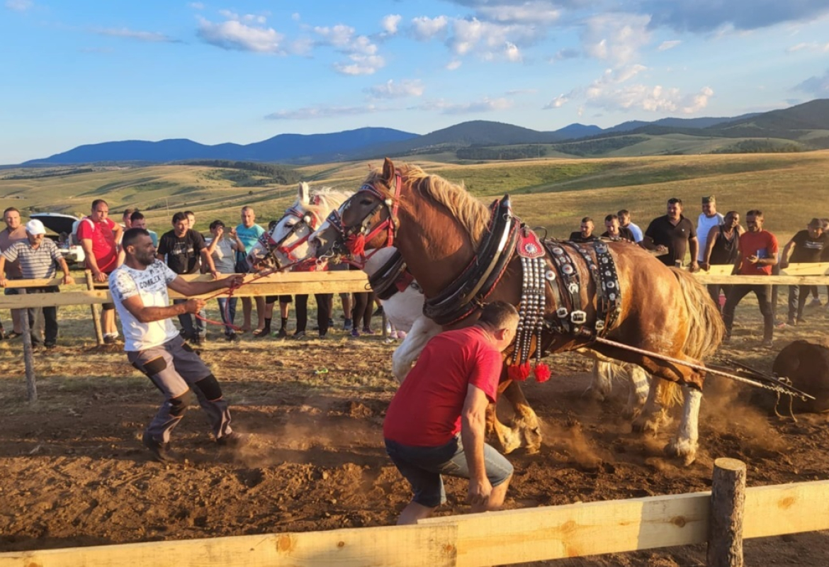 Штрапаријада на Златибору