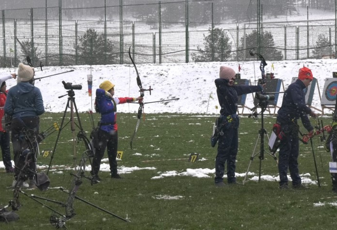 Стреличари на Швајцарији