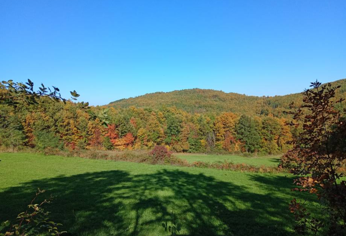 Jесен почиње у понедељак, 22. септембра