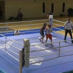 68. "Златна рукавица" на Златибору