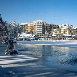 tablet_7861763715420659